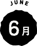 6月