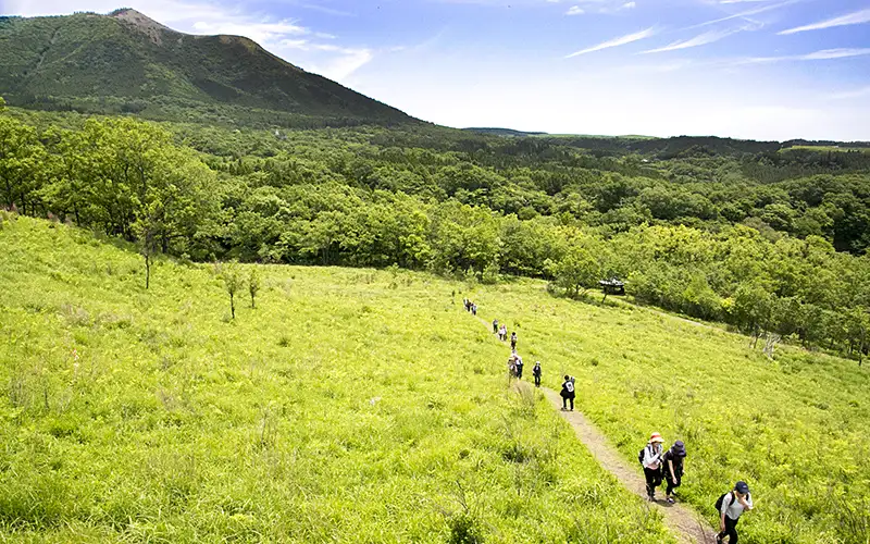 ウォーキングイベント